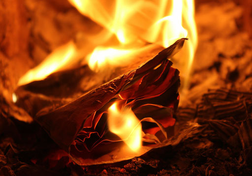 rotglühendes papier wellt sich unter hellen flammen, es ist nichts mehr zu lese oder zu erkennen.