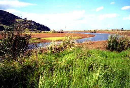 Flussdelta in freier Wildnis