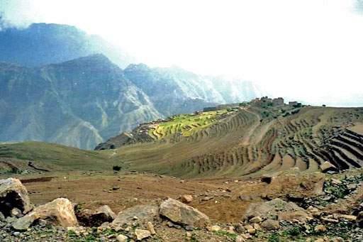 fruchtbare Terrassen wie in den Hochlagen von Peru