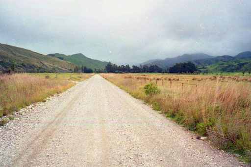 die Strasse zurück zum Meer, stundenlang radelte ich allein