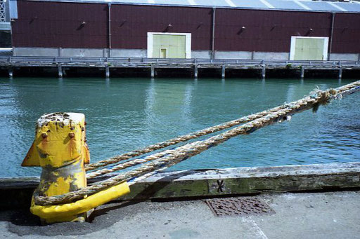 sicher im Hafen vertäut