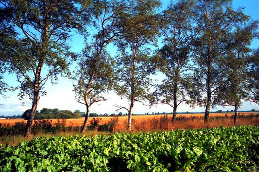 die Landschaft weit und beeindruckend