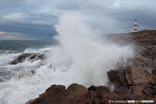 ...Schottland, Tabart Ness im Herbst ´15