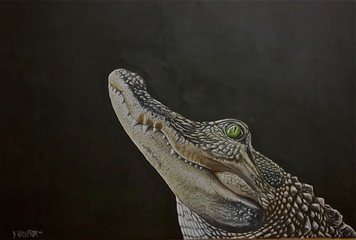 " Alligator", Nr. 10/15, Acryl auf Leinwand, 70x100cm