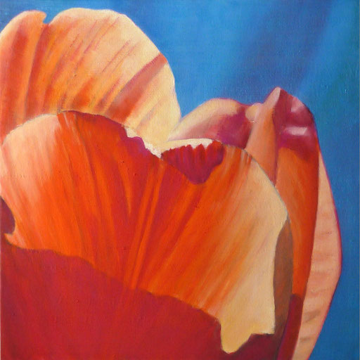 2010 Öl auf Leinwand 60x60x4cm  orange Tulpe