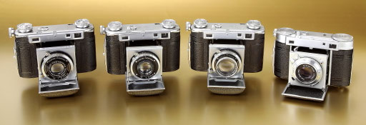 CERTO Super-Dollina (Goldstatus)  ©  engel-art.ch