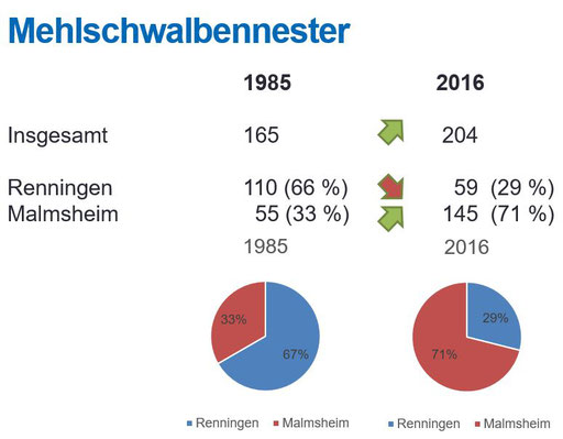 Mehlschwalbennester 1985 - 2016