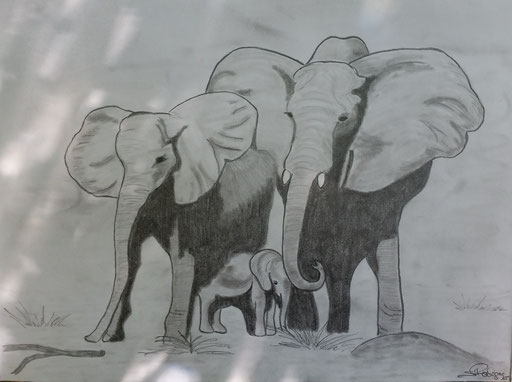 Elefantenfamilie 2015