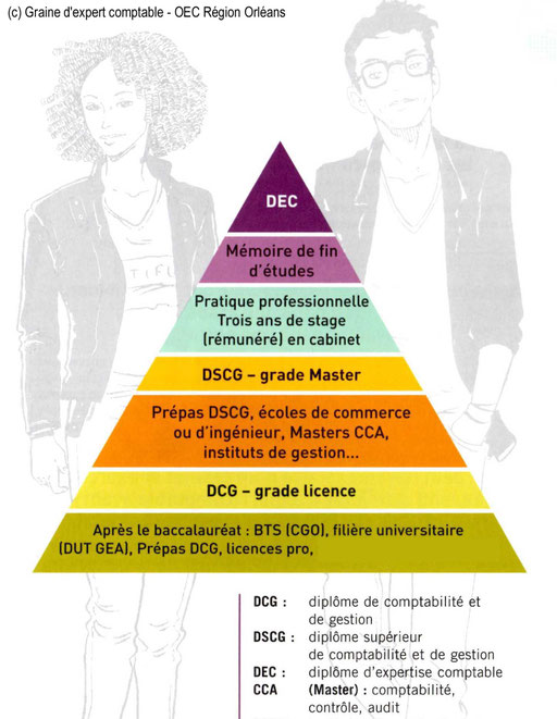 Que faire après le DCG ?