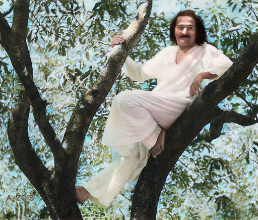 25th March 1937. Meher Baba sitting in a tree at Trimbak, India. Image rendition by Anthony Zois.