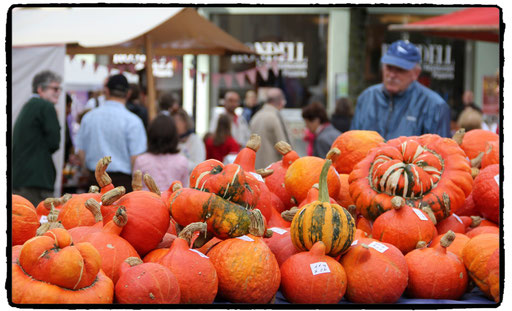 Kürbisfestival Neuheuhausplatz, Liebefeld. Jeden Herbst.