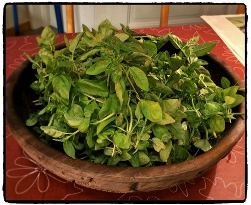 raccolta 2 in estate 2015