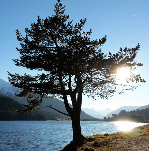 Davosersee - schön in allen Jahreszeiten