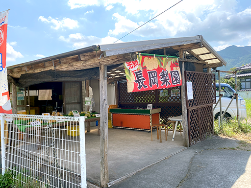 大分ローカルタレントがソーメンにカボスをギュッ