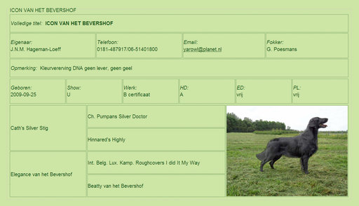 Auszug aus der Dutch Flatcoated Retriever Deckrüdenliste (zum Vergrössern auf das Bild klicken)