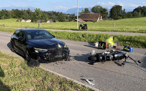 (Bild: KAPO SG)