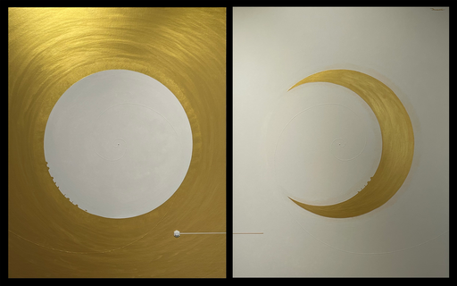 SUPER BODY & IMAGE 1606mm*1000mm (803mm*1000mm each)   acrylic on canvas,  wood,  2026