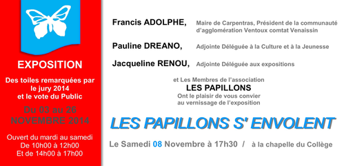 recto Papillons s'envolent 2014