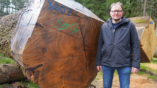 SDW-Vorstand Andreas Döz vor dem Erdstammstück der Super-Eiche