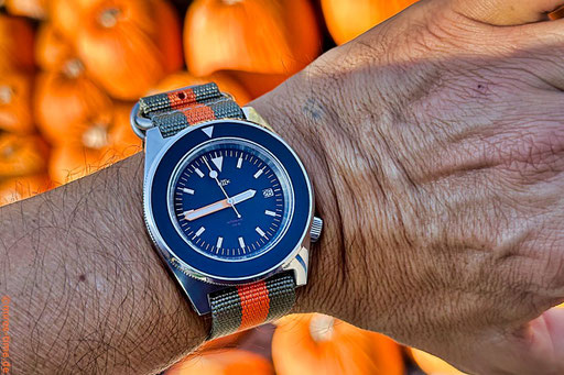 MKII Seafighter Bund @ Zulu HC 3 Ring »Pumpkyn«