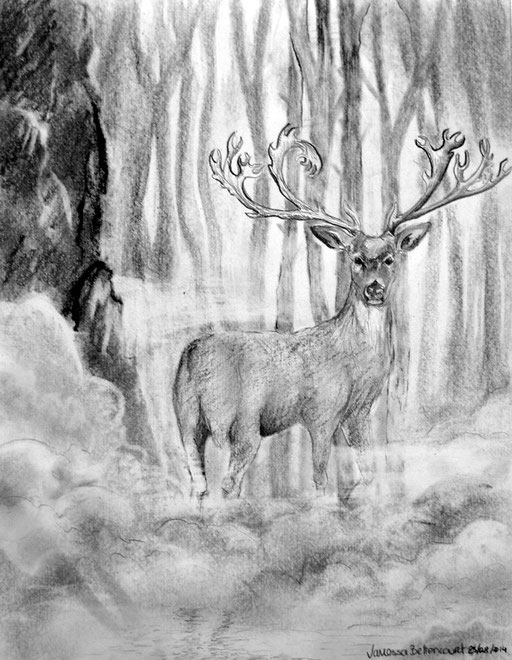 deer traditional art drawing pencil moose forest myth