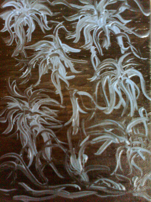 MEDUSE - 2011 olio su tela 13 x 18
