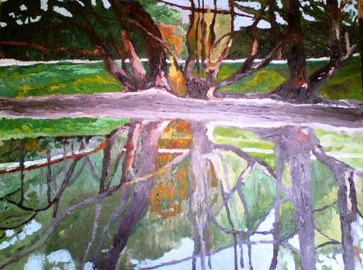 RIFLESSI - 2009 olio su tela 45 x 75