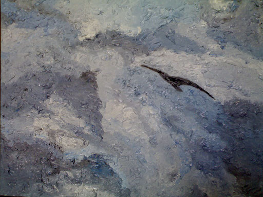 IL VOLO SOPRA LA CASCATA  - 2008 olio su tela 35 x 45