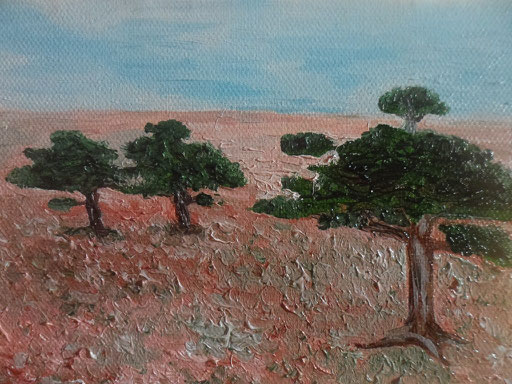 SAVANA - 2012 olio su tela 13 x 18