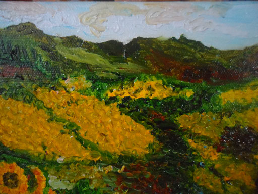 LE COLLINE DEI GIRASOLI 2011 olio su tela 13 x 18