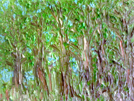NEL FITTO DEL BOSCO - 2011 olio su tela 13 x 18