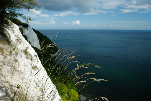 Chalk Cliffs of Rügen, Victoria Sight, overlook, National Parks in Germany