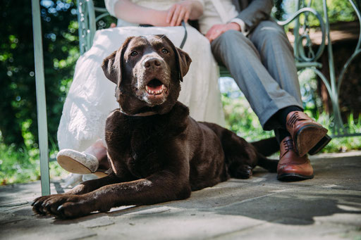 Hochzeit im Schweizer Haus in Plattenburg mit Fotografen