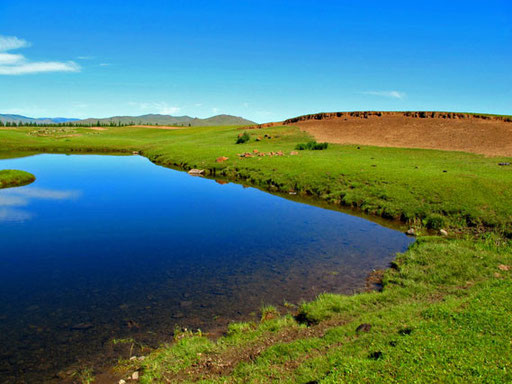 überall noch die Wasser-Reste der vorangegangenen Regenperiode