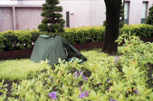 am Rande der Hecke fiel mein Zelt kaum auf