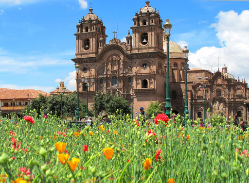 die Wiese vor der Cathedrale voller Frühlings-Blumen