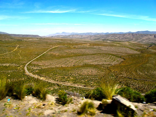 mit dem Bus von Puno nach Arequipa - 260 km durch die Sierra Sallnas Blanca