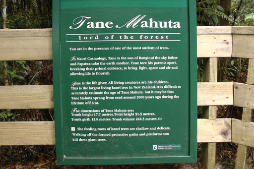Technische Details zu Tane Mahuta