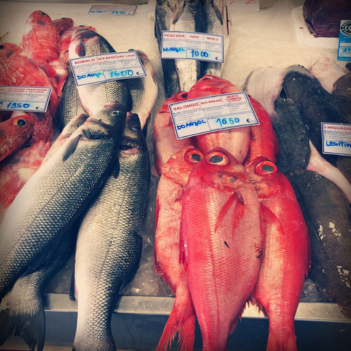 Am nächsten Tag ging es schon früh los, denn wir fuhren mit Kajaks nach Sesimbra, ca. 30 Kilometer südlich von Lissabon.  Dort gingen wir zunächst auf einen Markt, auf dem es unter anderem frischesten Fisch gab.  