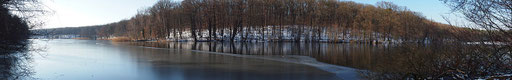 Berlin. Schlachtensee, 13.3.2013, Panoramafoto