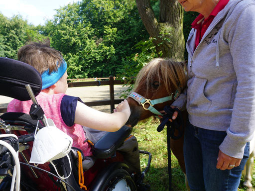 Auflug auf den Ponyhof