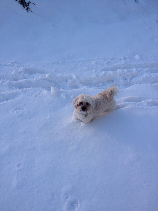 ... hab Geburtstag und ich liebe den Schnee ... 5J