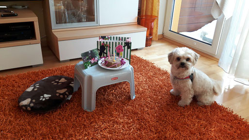 ... feier meinen 3. Geburtstag ... 3J