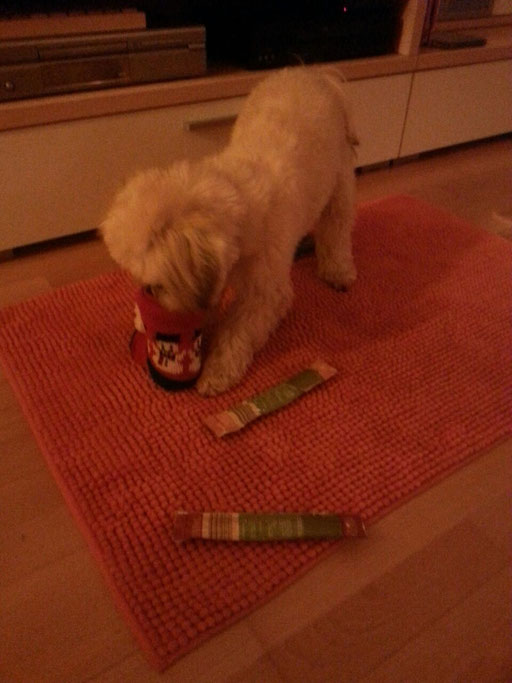 ... endlich, Nikolaus war da ... 11Mo