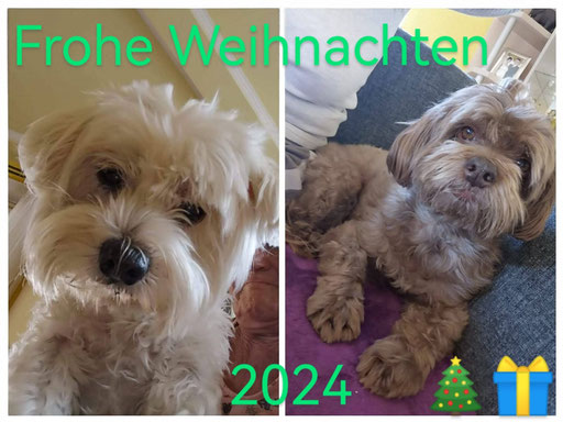 ... Weihnachten 2024 ... 12,3J