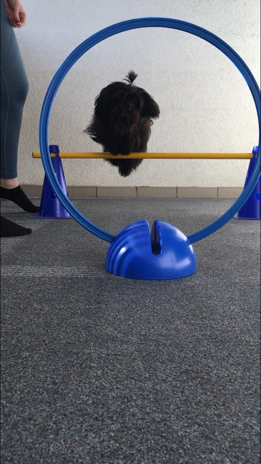 ... übe das "Fliegen" ... 5,4J