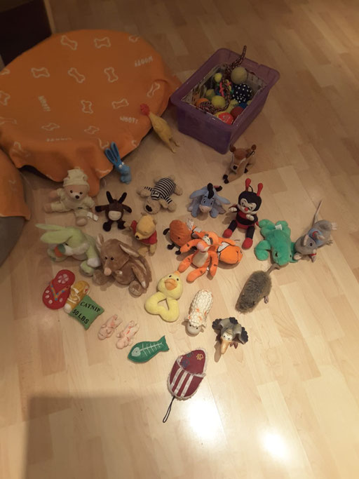 ... hab mein Spielzeug aufgelegt ... 6,4J