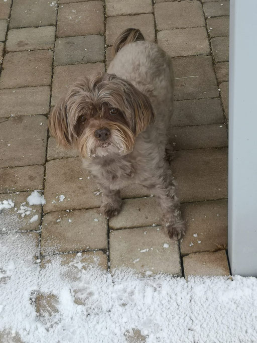 ... endlich Schnee ... 12,4J