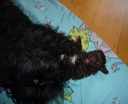 ... kämpfe mit Mama ... 6W