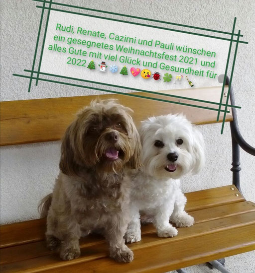 ... Frohe Weihnachten 2021 ... 9,3J